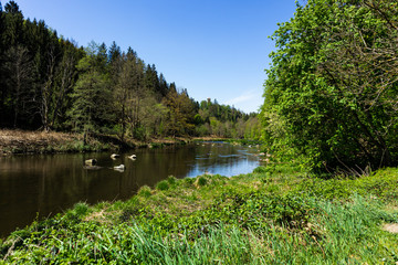 Blick ins Ilztal im Frühling