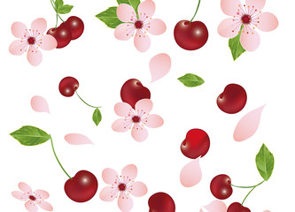 Potpourri aus Kirschen,Kirschblüten und Blätter