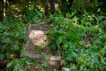 Obraz premium Overgrown Headstone