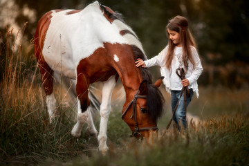 Little girl in indian style with pinto pony in a summer field in sunny evening