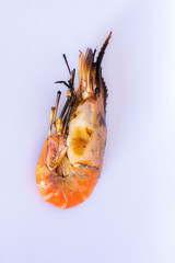roasted prawn isolated on white background ,grilled shrimp