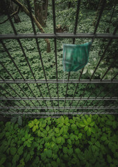 Medical Corona mask hangs over the fence in nature enviroment like garbage