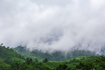 Beautiful sunshine at misty morning mountains,China Huangshan winter