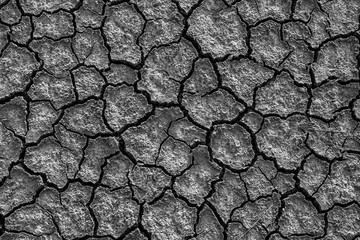 Full Frame Photo Of Cracked Earth ,Cracked clay ground into the dry season