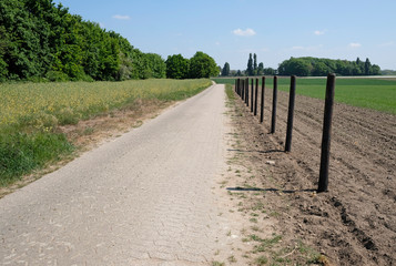 Fototapeta na wymiar Empty road with fence posts in a rural area