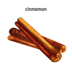 Watercolor cinnamon ingredient hand drawn illustration isolated on white background