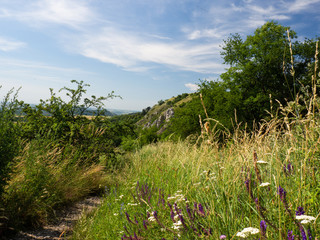 Palava Protected Landscape Area, Czech republic, Pavlov Hills