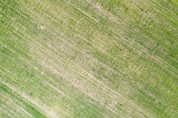 Aerial view on  green field from drone