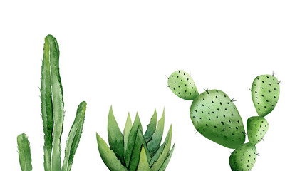 Desert plant set. Green cactuses. Watercolour illustration isolated on white background.