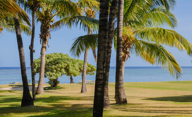 Beach area in the Indian Ocean in Mauritius