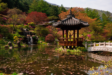 A beautiful Korean traditional garden with pavilion