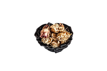 Black hands hold dry rosebuds. boat folded hands with wilted roses isolated. Dark arms in sensual pose with flower buds. Cut out image.