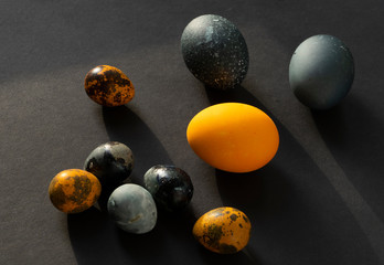 Colored eggs (orange and blue) on a black background. Eggs and quail eggs on a dark background.