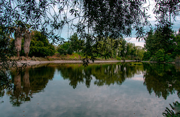 Fototapeta premium Davis Arboretum