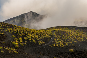 Etna volcano, Sicily, Italy. Mars-like or Moon-like mountain landscape, hiking in the clouds. Tufts...