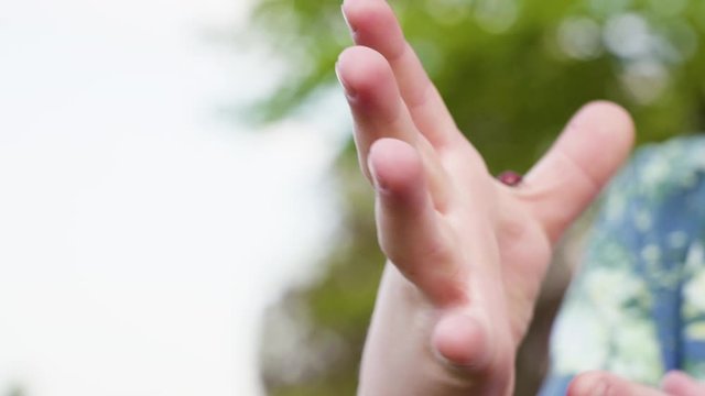 a child plays with a ladybug - 4 video