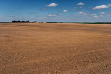 Fototapeta premium spring field work