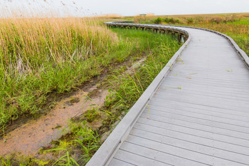 Boardwalk Leading Through The Wetlands Walkway On The Creole Nature Trail, Sabine National Wildlife Refuge, Louisiana, USA