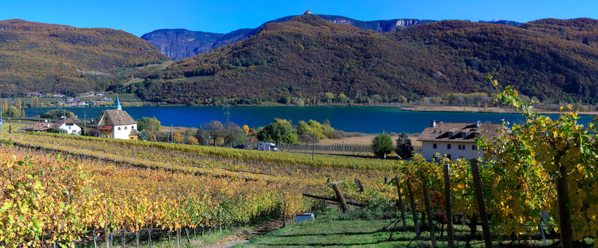Kalterersee mit Weinanbau im Herbst, Kaltern, Tramin, S&uuml;dtirol, Italien, Europa, Panorama