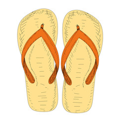 vector, on a white background, summer slippers flat style