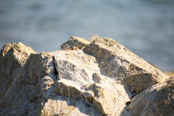 stone wall in the mountains