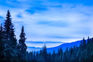 Beautiful scenic landscape of winter mountain forest.