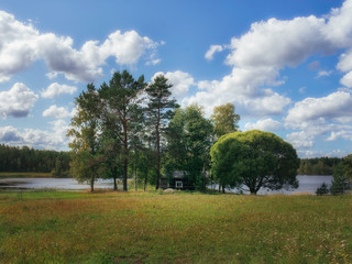 Summer in the Finnish forest by the lake