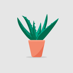 A vector graphic illustration of a aloe vera plant in pot