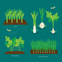 Set of Vegetable garden. Organic and healthy food Cartoon Vector illustration.