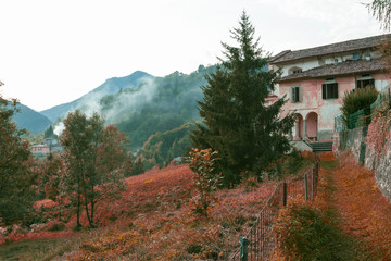 view of the autumnal mountain nature with its colors, Italian Alps