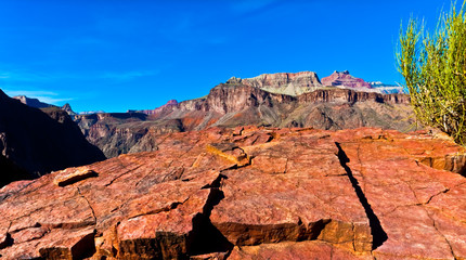 Solomon  Temple and Weathered Vishnu Basement Rock On The Edge of The Inner Gorge,South Kaibab...