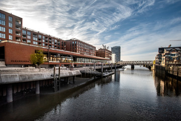 Fototapeta premium Elbtorquatier mit Magdeburger Brücker