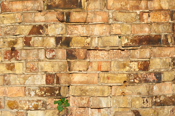 Old yellow brick crumbling wall.