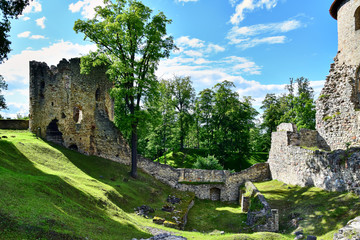 Cesis, Latvia - Cesis castle, ruined stone walls and a tower on a background of green grass, trees and a blue sky with clouds, in the summer in the daytime.