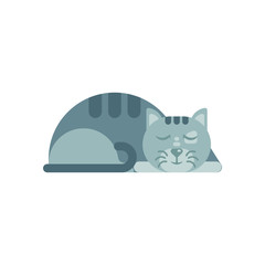 Flat design  cat, sleeping cat vector illustration, isolated on white background