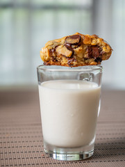Crunchy chewy chocolate chip soft cookie on cup of milk, selective focus at melting chocolate