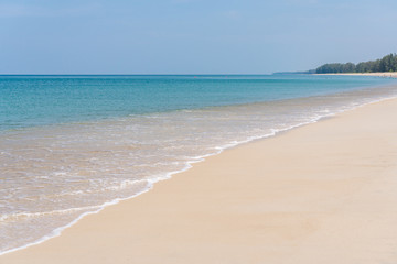 Tropical beach view in summer. Background, copy space