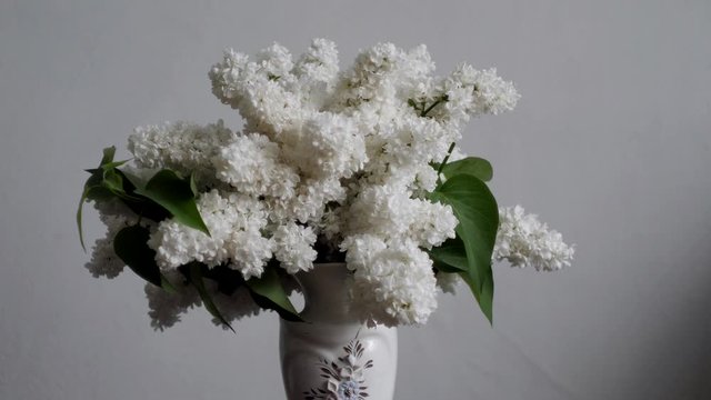 bouquet of white lilacs in a vase