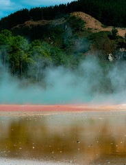 Champagne pool