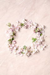 Obraz na płótnie Canvas Flat lay of spring apple blooming flowers and petals as circle wreath over pink marble background. Copy space