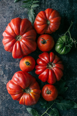 Fresh, ripe tomatoes on dark metal background.