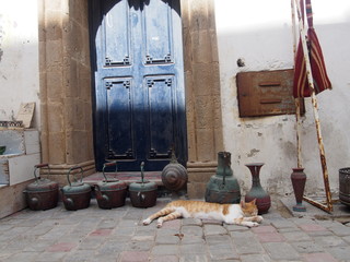 A Cat relaxing in a port city, Essaouira, Morocco