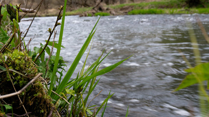 spring flood on the river.fast little rivers.