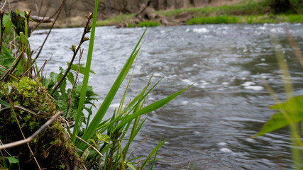 spring flood on the river.fast little rivers.