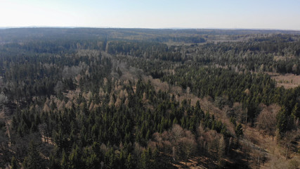 Forrest Arial view