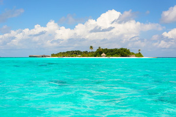 
Vacanze su spiagge coralline nel mare delle Maldive