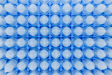 Blue tip for scientific experiment in the box. microbiological pipette in the genetic laboratory