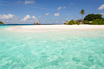 Vacanze su spiagge coralline nel mare delle Maldive