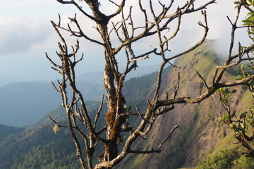 MON JONG in Thailand. This is beautiful place and good climate. We has to walk through forest, hill before arrived this perfect view.