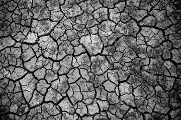 cracked earth texture